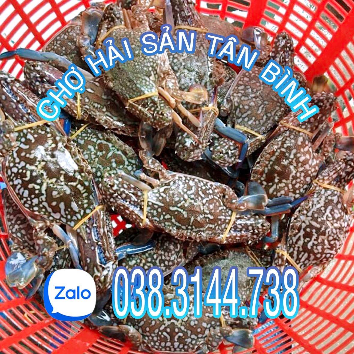 Hải sản Tân Bình