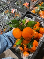 Huyền - hoa quả Mỹ Đình