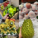 CH 63 Trần Quốc Vượng