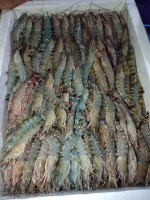 Vựa hải sản 18