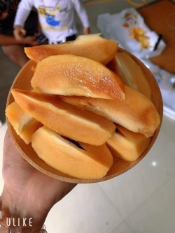 Hồng xiêm nguyên cám Tiền Giang