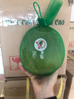 Bưởi da xanh Bến Tre