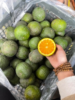 Cam sành Vĩnh Long - sọt 19-20kg 