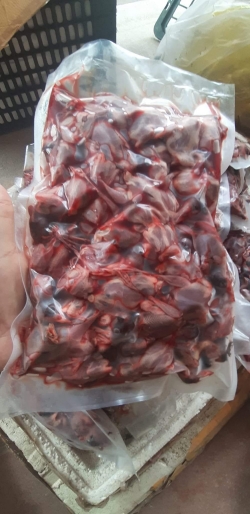 Chim sẻ đồng làm sạch sẵn - 100 con