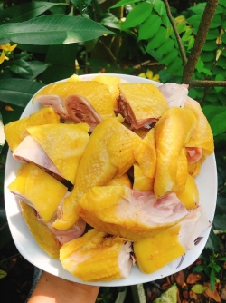 Gà ủ muối nguyên con