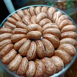 Hạt điều - hộp 500gr