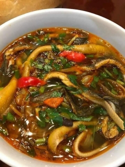 Lươn đồng Nghệ An