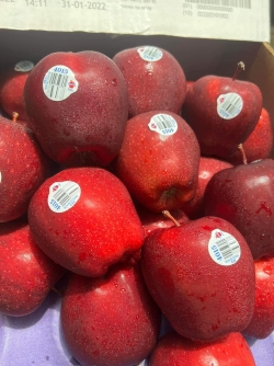 Táo đỏ Red Relicious Mỹ