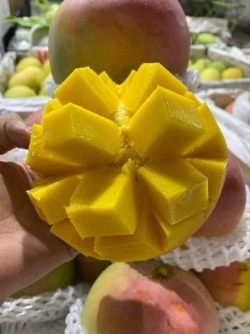 Xoài Úc - thùng 5kg