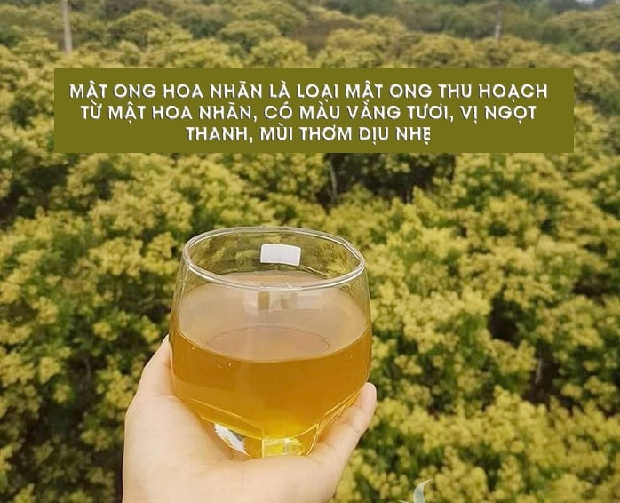 Cách phân biệt và tác dụng của mật ong hoa nhãn Hưng Yên