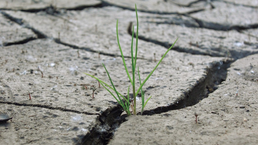 Những điều cần biết về cơn bão hạn mặn ở miền Tây