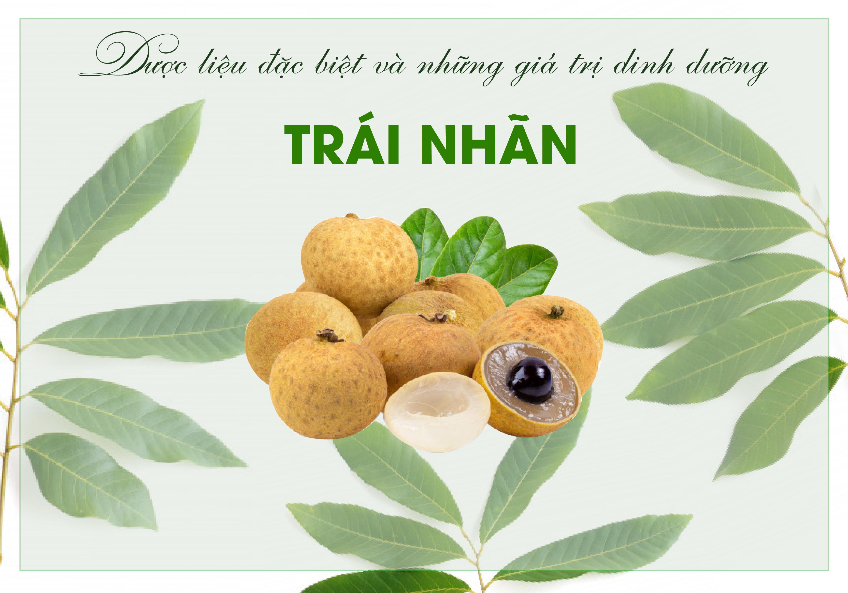 Tại sao trái nhãn được coi là vị thuốc quý?