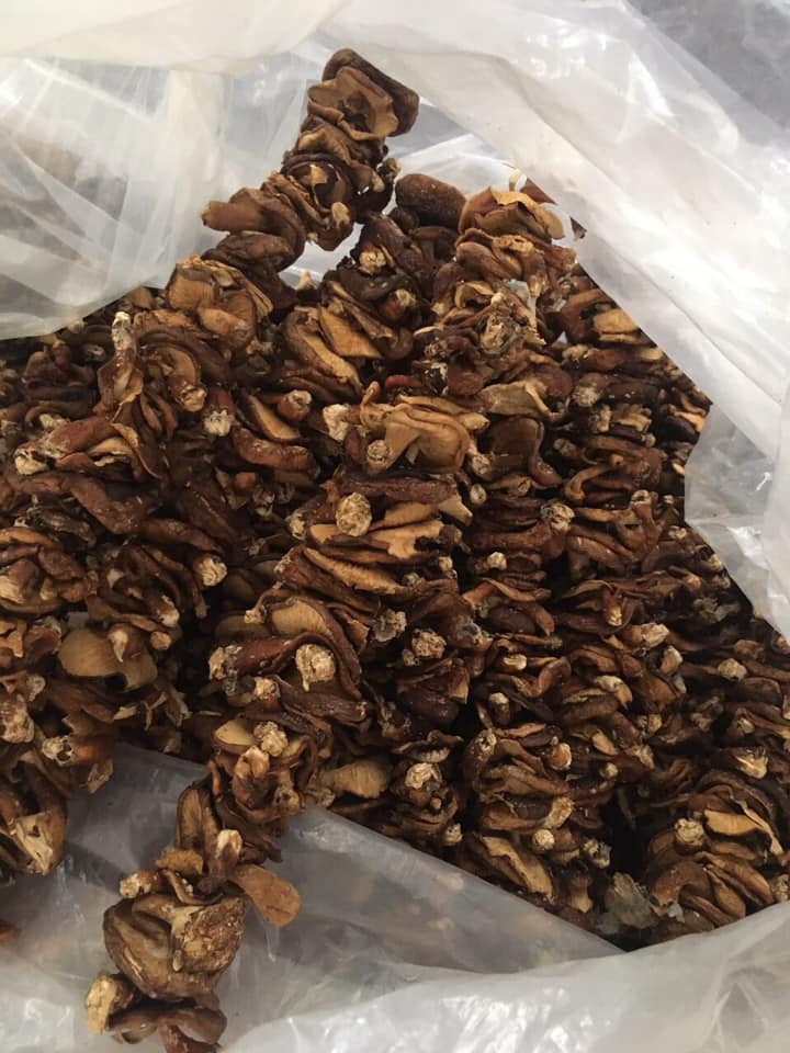 Rau củ vùng miền Rau củ vùng miền