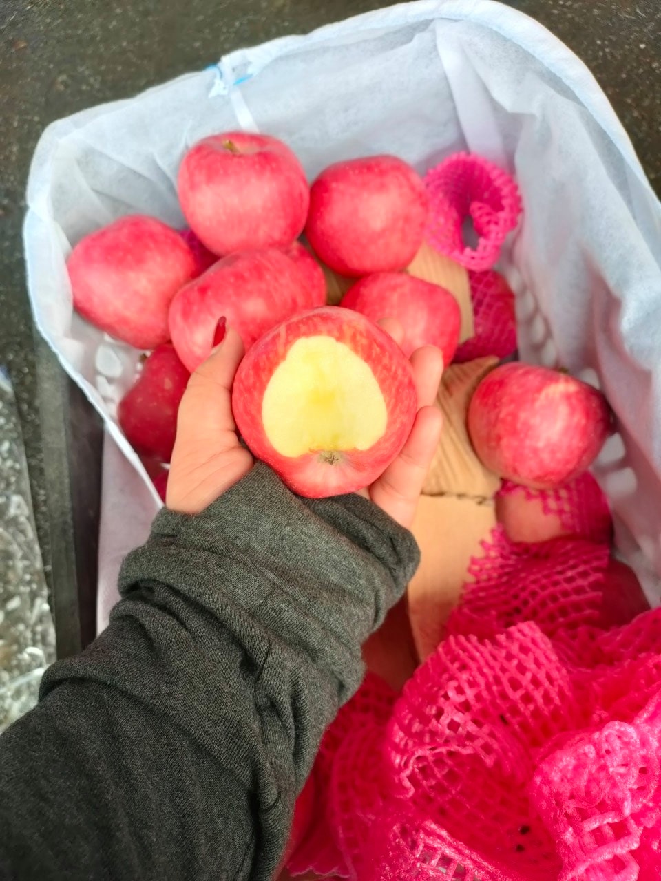 Trái cây nhập khẩu