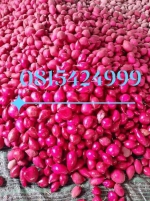 Rau củ miền Tây