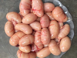 Ngọc kê gà Đông Tảo