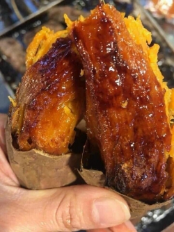 Khoai mật ĐăkLak