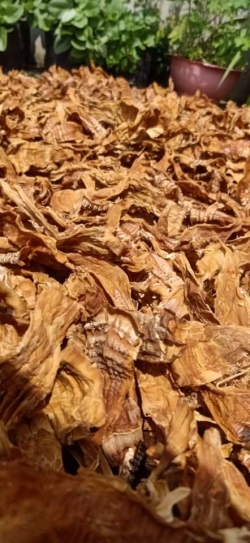 Măng nứa khô Hà Giang