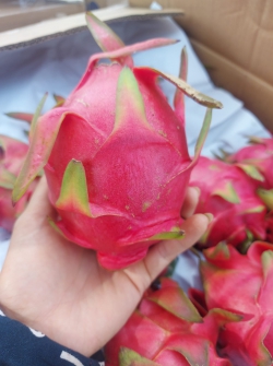 Thanh long ruột đỏ