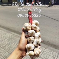 Tỏi Kinh Môn