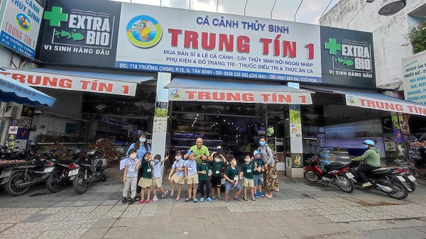  Bảng giá các loại Cá Cảnh các loại đẹp nhất hiện nay