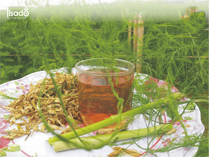 Trà Măng Tây có tác dụng gì? Ai nên uống Trà Măng Tây? Trà Măng Tây có tác dụng gì? Ai nên uống Trà Măng Tây?