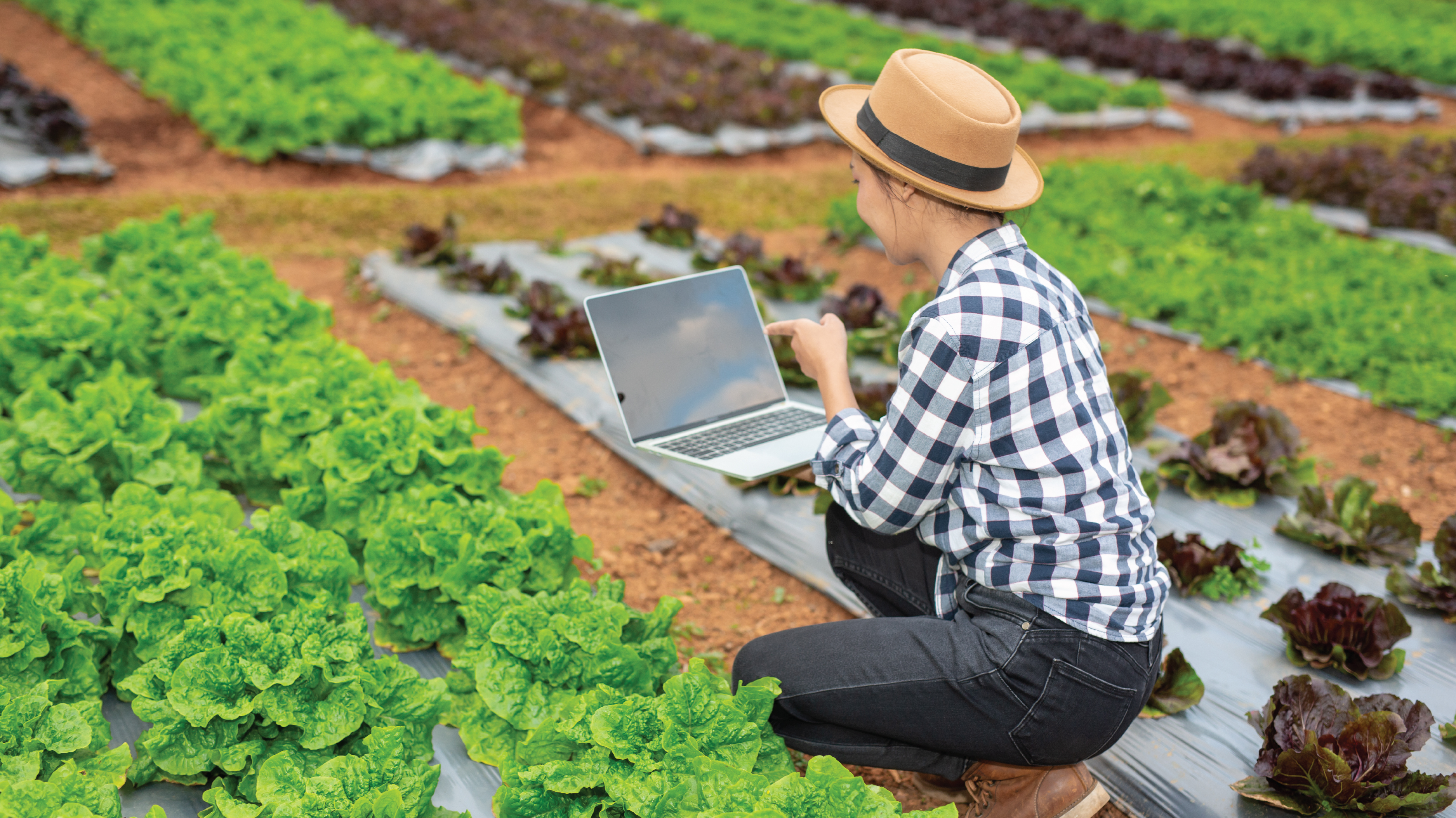 Vì sao chợ nông sản online trở thành xu hướng tiêu dùng thập niên 2020?