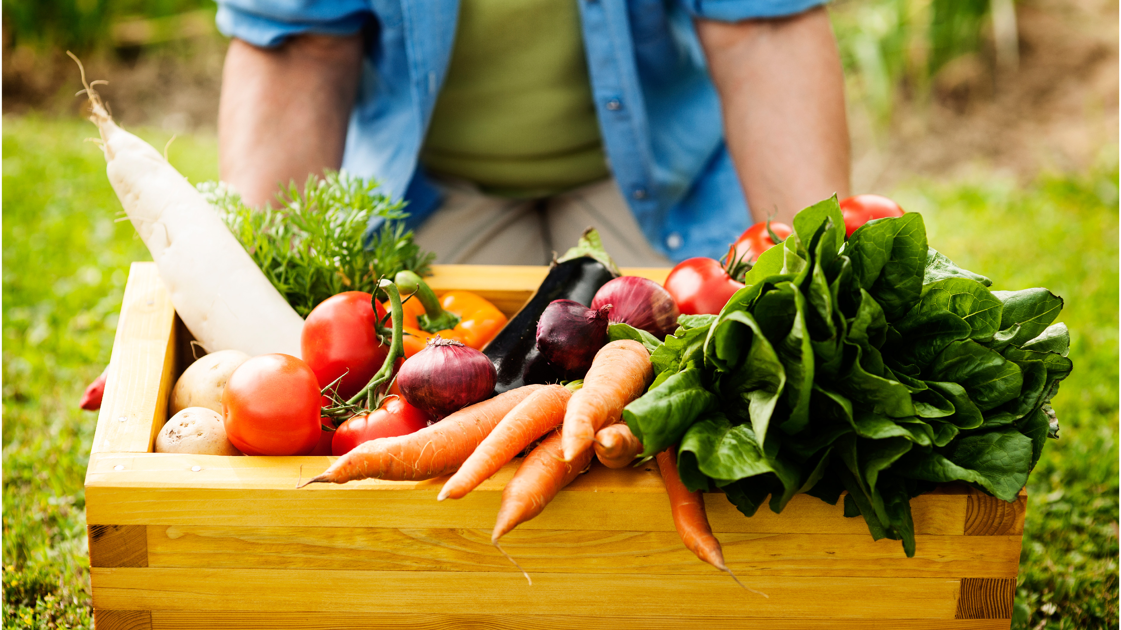 Các loại rau củ quả giàu dinh dưỡng được các chuyên gia khuyên dùng Các loại rau củ quả giàu dinh dưỡng được các chuyên gia khuyên dùng