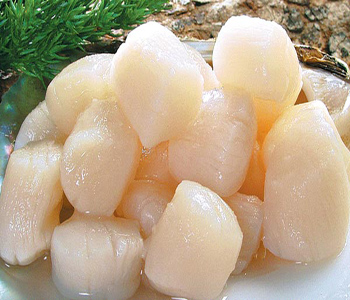 Cồi sò điệp giá bao nhiêu? Mua cồi sò điệp ở đâu