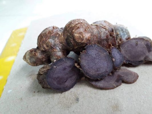 Giá củ ngải đen hiện nay bao nhiêu 1kg? Công dụng của củ ngải đen là gì?