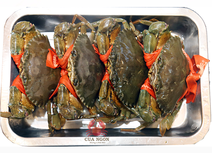 Giá Cua gạch cà mau hôm nay bao nhiêu tiền 1 kg?