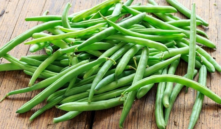 Giá đậu que hôm nay bao nhiêu 1kg?