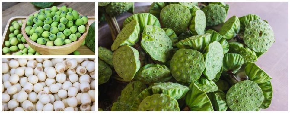 Giá hạt sen hiện nay bao nhiêu 1 kg? Mua hạt sen tươi ở đâu