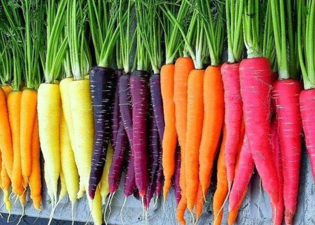 Giá cà rốt hôm nay bao nhiêu 1kg? Lợi ích khi ăn cà rốt
