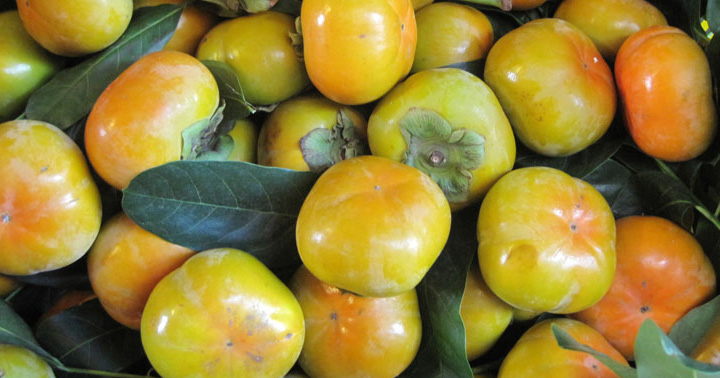 Giá hồng giòn đà lạt hôm nay bao nhiêu 1kg? 