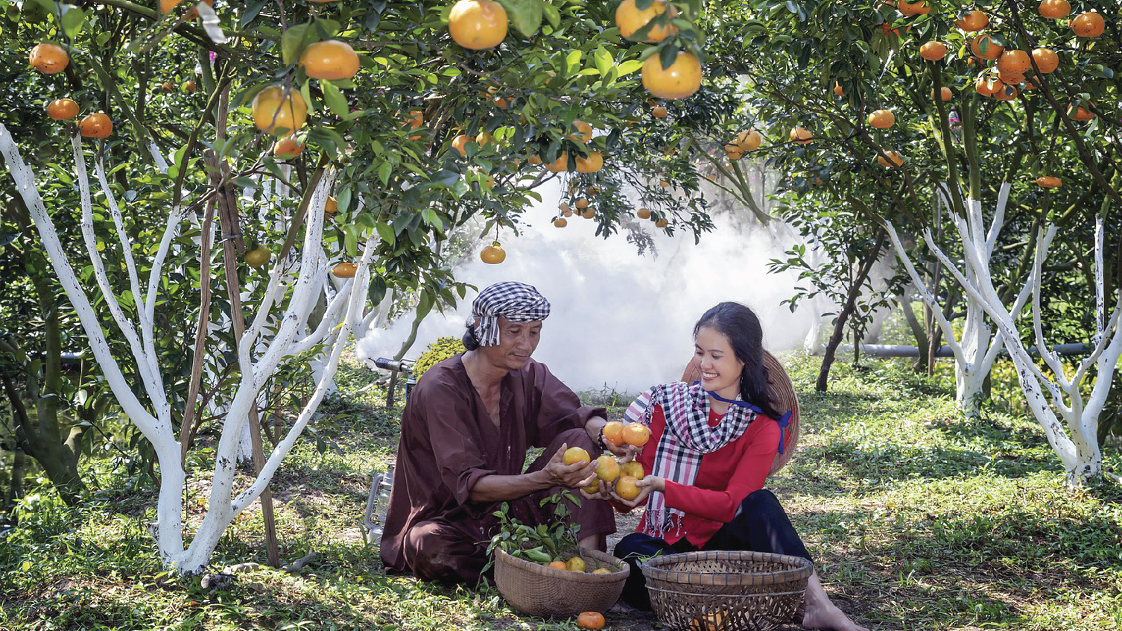 Kinh doanh đặc sản vùng miền – sinh lời từ dấu ấn ẩm thực quê hương