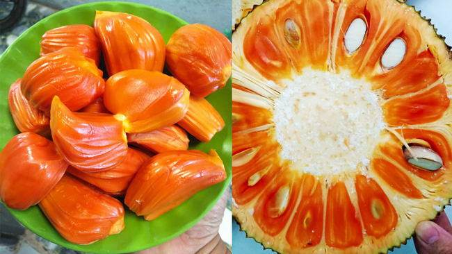 Giá mít ruột đỏ indo hôm nay bao nhiêu 1KG?