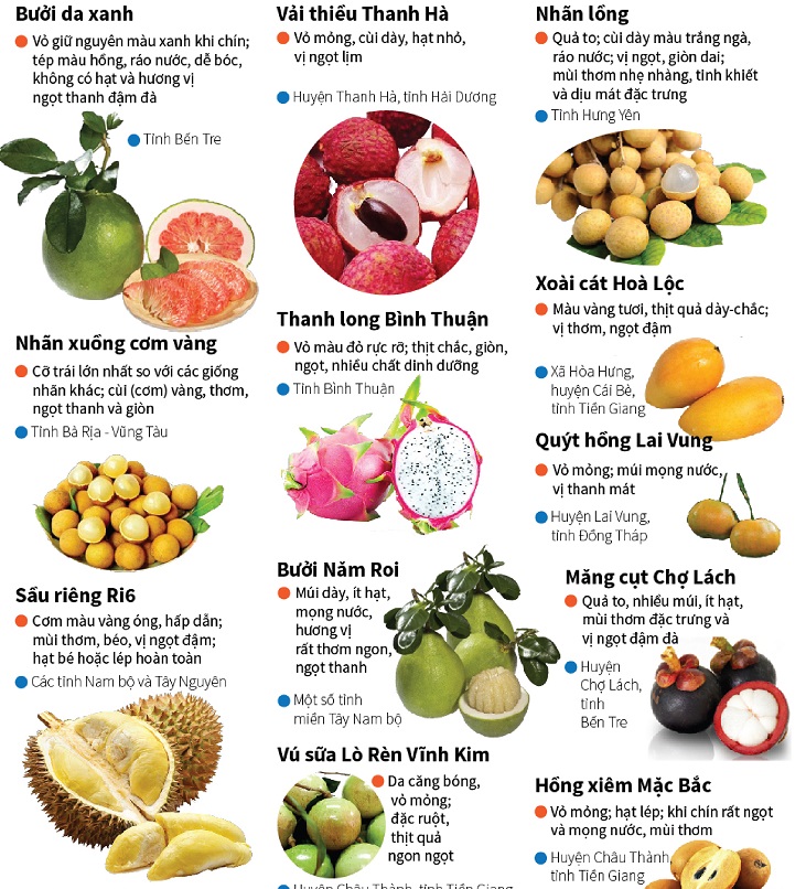 Các loại trái cây theo tháng trong năm ở Việt Nam