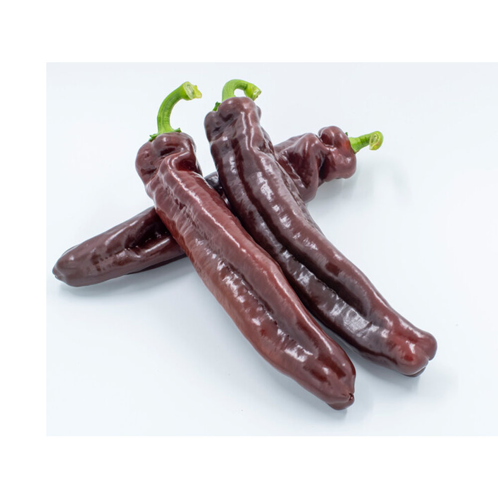 Ớt socola giá bao nhiêu? Ăn ớt socola có cay không?