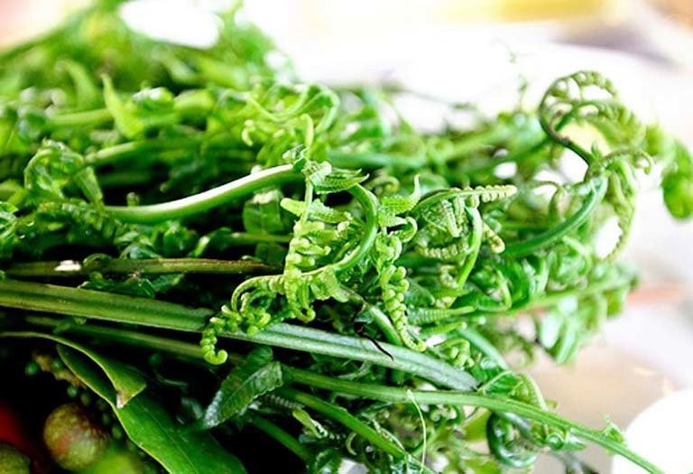 Rau dớn là rau gì? Cách chế biến món rau dớn