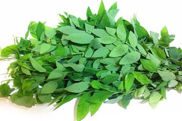 Giá rau ngót hôm nay bao nhiêu tiền 1kg?