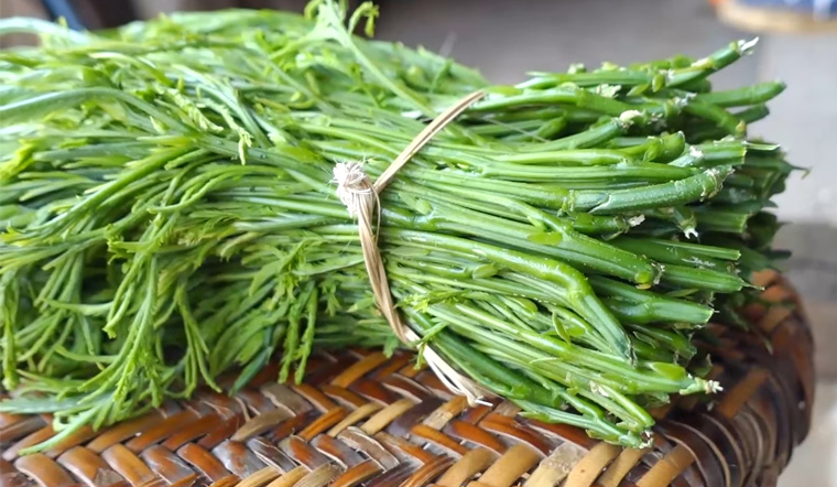 6 loại rau Đặc Sản của Việt Nam đắt đỏ mà khó mua