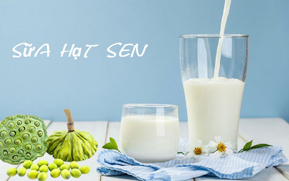 10 Cách nấu sữa hạt sen thơm, ngon tại nhà 10 Cách nấu sữa hạt sen thơm, ngon tại nhà
