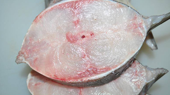 Giá cá bớp hôm nay bao nhiêu tiền 1kg?