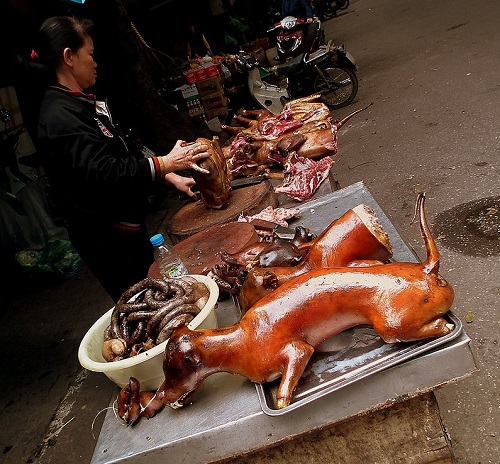 Giá Thịt Chó Hôm Nay Bao Nhiêu 1 KG? Giá chó hơi miền Bắc?