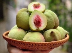 Đào mỏ quạ Sơn La - 1Kg