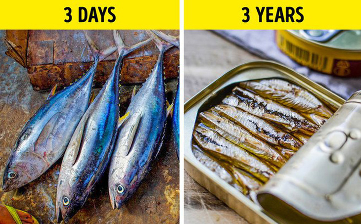 Bạn có thể giữ đồ ăn cả chục năm thay vì chỉ vài ngày theo các mẹo thú vị dưới đây Bạn có thể giữ đồ ăn cả chục năm thay vì chỉ vài ngày theo các mẹo thú vị dưới đây