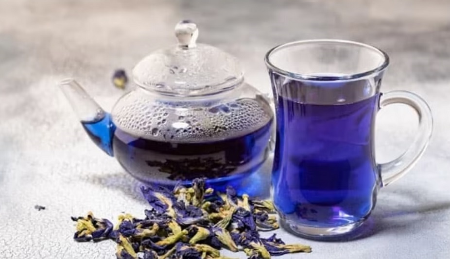 Uống trà hoa đậu biếc đúng cách? Thời điểm uống trà hoa đậu biếc tốt nhất trong ngày?