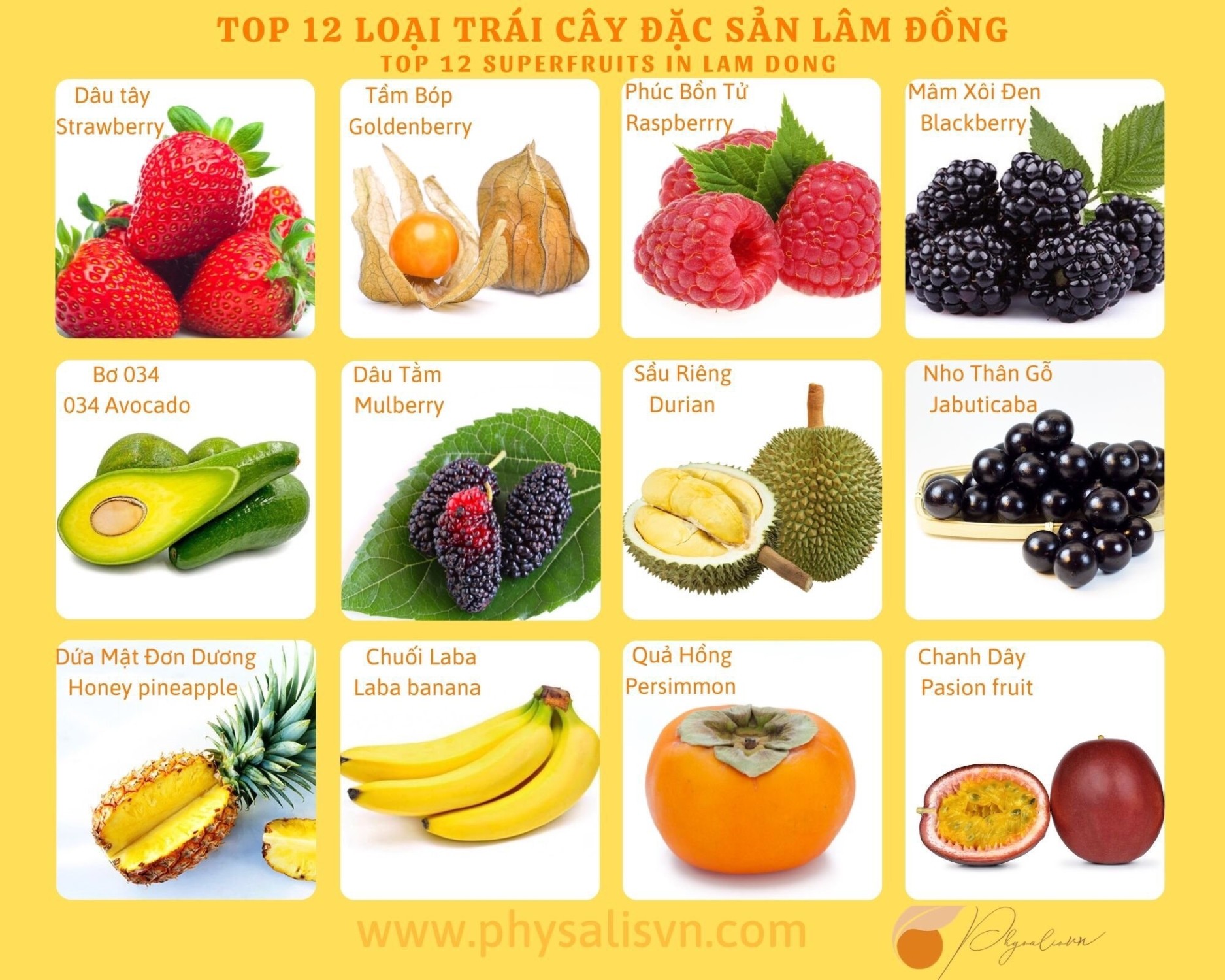 12 loại trái cây đặc sản tỉnh Lâm Đồng