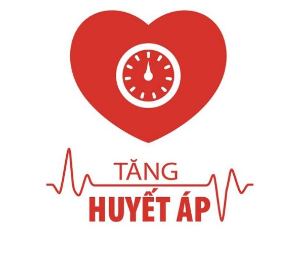 Uống trà gì để hạ huyết áp? Tham khảo ngay Top những loại trà có lợi cho huyết áp